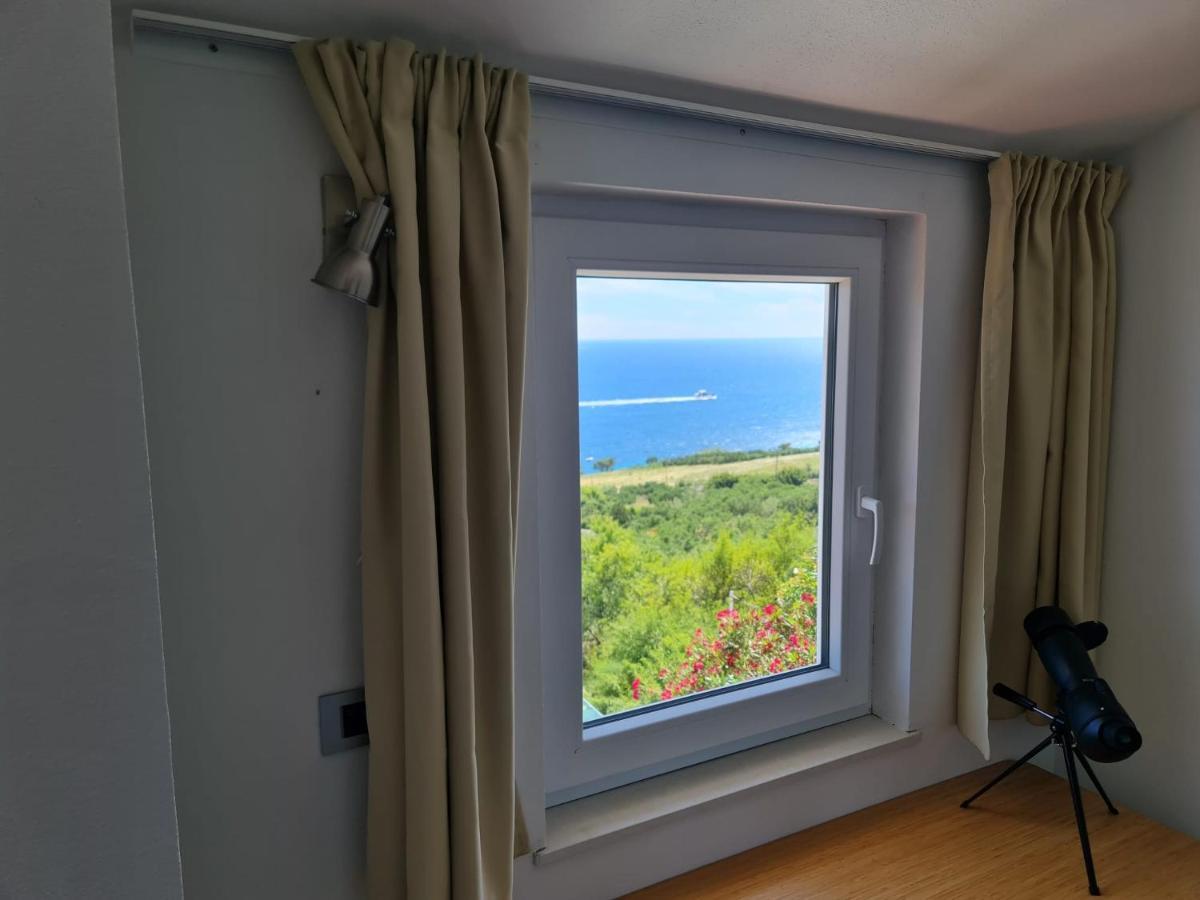 Villa Anabela 萨瓦拉 外观 照片
